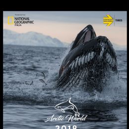 Cover Artic World 2018