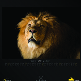 mt2019calendar-giugno